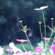 ヒメ日記 2025/10/22 07:30 投稿 北山　あさみ ホットポイントヴィラ