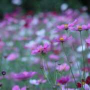 ヒメ日記 2025/10/23 04:21 投稿 北山　あさみ ホットポイントヴィラ