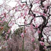 ヒメ日記 2025/10/24 12:03 投稿 北山　あさみ ホットポイントヴィラ