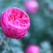 ヒメ日記 2025/10/28 07:31 投稿 北山　あさみ ホットポイントヴィラ