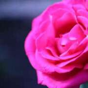 ヒメ日記 2025/10/30 07:30 投稿 北山　あさみ ホットポイントヴィラ