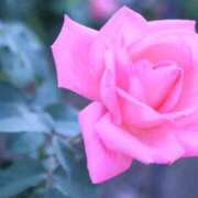 ヒメ日記 2025/11/01 07:30 投稿 北山　あさみ ホットポイントヴィラ