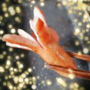 ヒメ日記 2025/11/10 07:30 投稿 北山　あさみ ホットポイントヴィラ