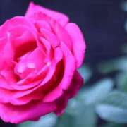 ヒメ日記 2025/11/22 07:31 投稿 北山　あさみ ホットポイントヴィラ