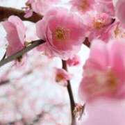 北山　あさみ 尻ポケット使用禁止令 ホットポイントヴィラ