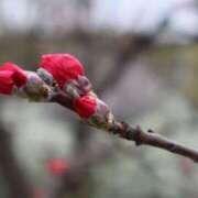 ヒメ日記 2026/01/26 07:30 投稿 北山　あさみ ホットポイントヴィラ