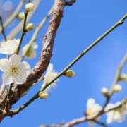 ヒメ日記 2026/02/03 07:30 投稿 北山　あさみ ホットポイントヴィラ