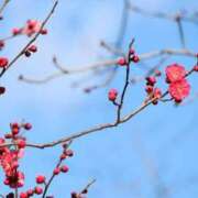 ヒメ日記 2026/02/04 07:30 投稿 北山　あさみ ホットポイントヴィラ