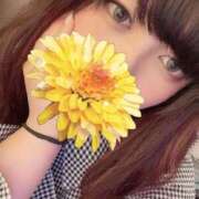 ヒメ日記 2025/08/22 15:09 投稿 しゅうか 白いぽっちゃりさん五反田店