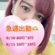 ヒメ日記 2025/09/09 14:39 投稿 しゅうか 白いぽっちゃりさん五反田店