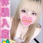 アクア 体入終わり? 神田ハンドメイド