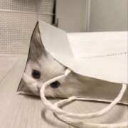 ヒメ日記 2025/07/06 20:13 投稿 アクア 上野ハンドメイド