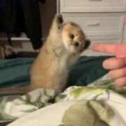 ヒメ日記 2025/07/11 18:27 投稿 アクア 上野ハンドメイド