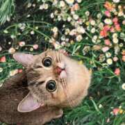 ヒメ日記 2025/07/18 18:29 投稿 アクア 上野ハンドメイド