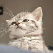 ヒメ日記 2025/08/20 17:24 投稿 アクア 上野ハンドメイド