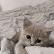 ヒメ日記 2025/08/30 10:25 投稿 アクア 上野ハンドメイド