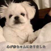 ヒメ日記 2025/08/30 13:35 投稿 アクア 上野ハンドメイド