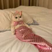 ヒメ日記 2025/09/26 17:07 投稿 アクア 上野ハンドメイド