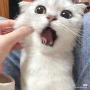 ヒメ日記 2025/09/27 17:42 投稿 アクア 上野ハンドメイド