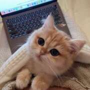 ヒメ日記 2025/09/27 21:36 投稿 アクア 上野ハンドメイド