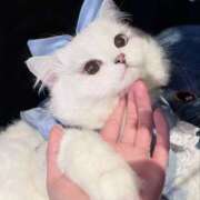 ヒメ日記 2025/09/28 20:23 投稿 アクア 上野ハンドメイド