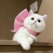 ヒメ日記 2025/10/03 16:24 投稿 アクア 上野ハンドメイド