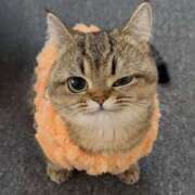 ヒメ日記 2025/10/04 14:15 投稿 アクア 上野ハンドメイド