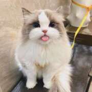 ヒメ日記 2025/10/05 10:02 投稿 アクア 上野ハンドメイド