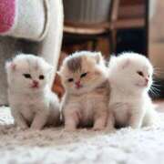 ヒメ日記 2025/10/07 21:59 投稿 アクア 上野ハンドメイド