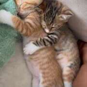 ヒメ日記 2025/10/10 19:09 投稿 アクア 上野ハンドメイド