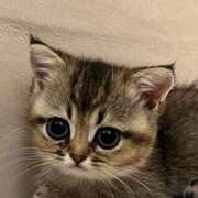 ヒメ日記 2025/10/20 14:38 投稿 アクア 上野ハンドメイド