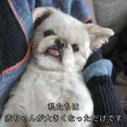 ヒメ日記 2025/10/26 16:50 投稿 アクア 上野ハンドメイド