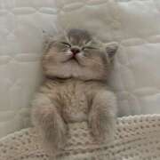 ヒメ日記 2025/10/26 22:54 投稿 アクア 上野ハンドメイド