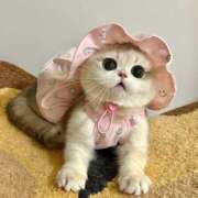 ヒメ日記 2025/10/27 20:15 投稿 アクア 上野ハンドメイド