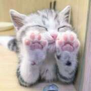 ヒメ日記 2025/11/02 10:39 投稿 アクア 上野ハンドメイド