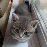 ヒメ日記 2025/11/03 10:20 投稿 アクア 上野ハンドメイド