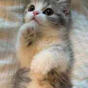 ヒメ日記 2025/11/05 13:57 投稿 アクア 上野ハンドメイド