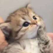 ヒメ日記 2025/11/06 14:46 投稿 アクア 上野ハンドメイド