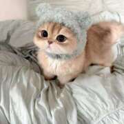 ヒメ日記 2025/11/08 17:37 投稿 アクア 上野ハンドメイド