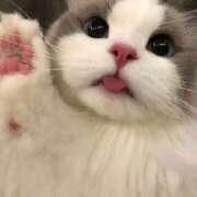 ヒメ日記 2025/11/10 10:27 投稿 アクア 上野ハンドメイド