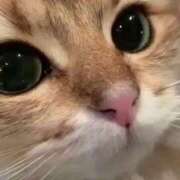 ヒメ日記 2025/11/10 13:03 投稿 アクア 上野ハンドメイド