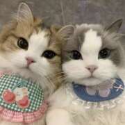 ヒメ日記 2025/11/13 14:18 投稿 アクア 上野ハンドメイド