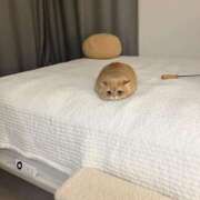 ヒメ日記 2025/11/15 16:26 投稿 アクア 上野ハンドメイド