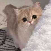 ヒメ日記 2025/11/16 22:58 投稿 アクア 上野ハンドメイド