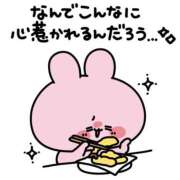 ヒメ日記 2025/11/17 10:31 投稿 アクア 上野ハンドメイド