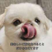 ヒメ日記 2025/11/17 16:44 投稿 アクア 上野ハンドメイド