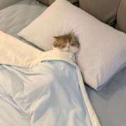 ヒメ日記 2025/11/18 05:56 投稿 アクア 上野ハンドメイド