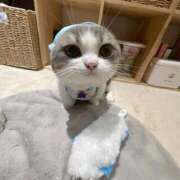 ヒメ日記 2025/11/23 11:11 投稿 アクア 上野ハンドメイド