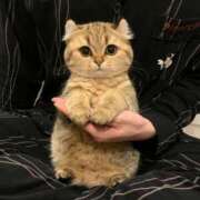 ヒメ日記 2025/11/26 14:49 投稿 アクア 上野ハンドメイド