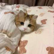 ヒメ日記 2025/11/27 15:16 投稿 アクア 上野ハンドメイド